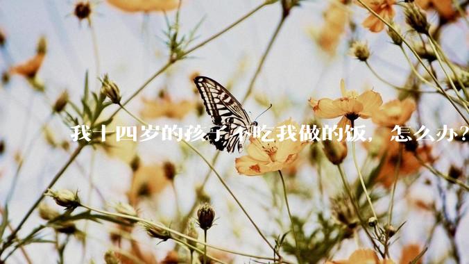 我十四岁的孩子不吃我做的饭，怎么办？