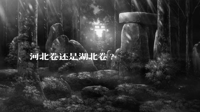 河北卷还是湖北卷?