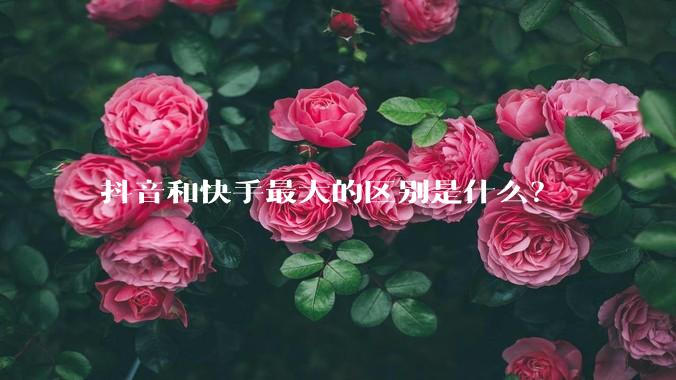 抖音和快手最大的区别是什么？