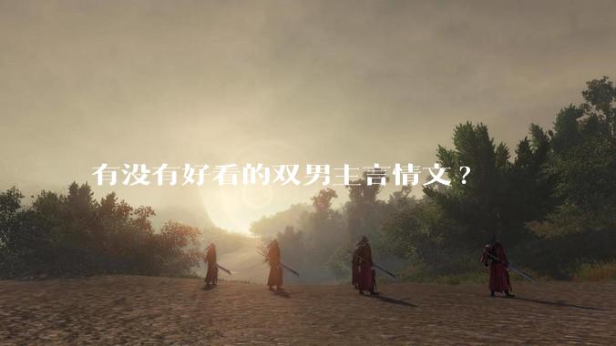 有没有好看的双男主言情文?