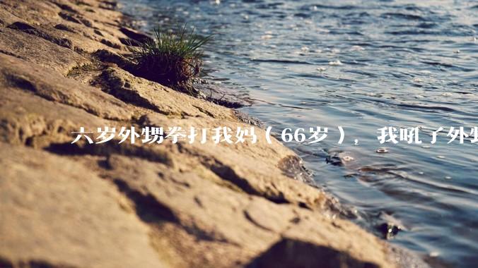 六岁外甥拳打我妈（66岁），我吼了外甥几句，被我姐怀恨在心一年多，说我吓到外甥。如果是你该如何处理？