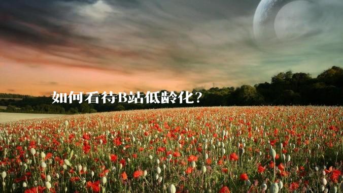 如何看待B站低龄化？