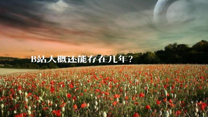 B站大概还能存在几年？