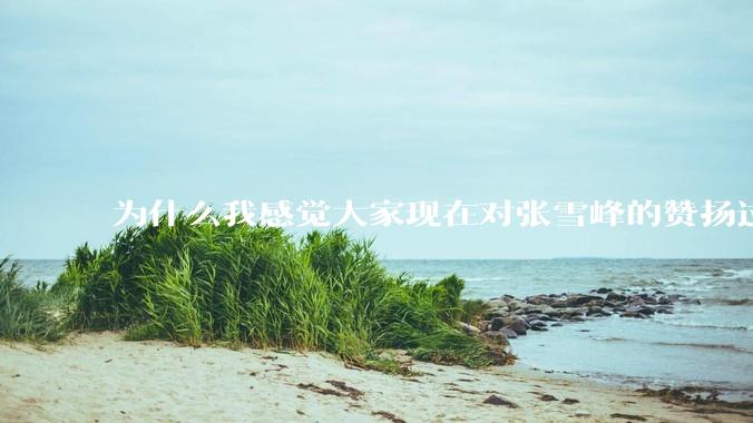 为什么我感觉大家现在对张雪峰的赞扬过度了？