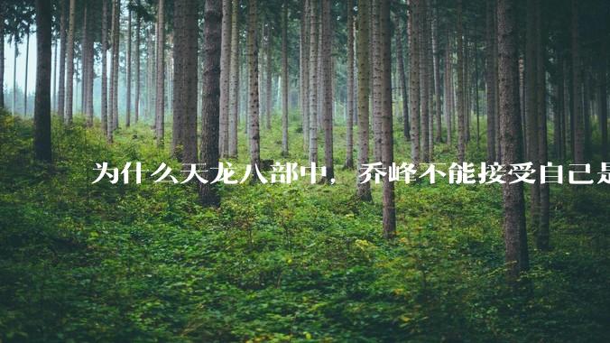 为什么天龙八部中，乔峰不能接受自己是契丹人？